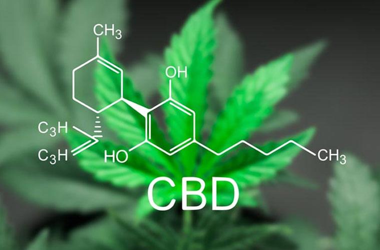 Cannabidiol induces a rapid and long-lasting antidepressant