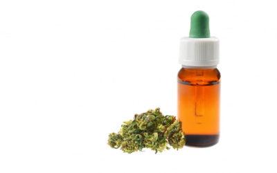 Everything you need to know about CBD oil
